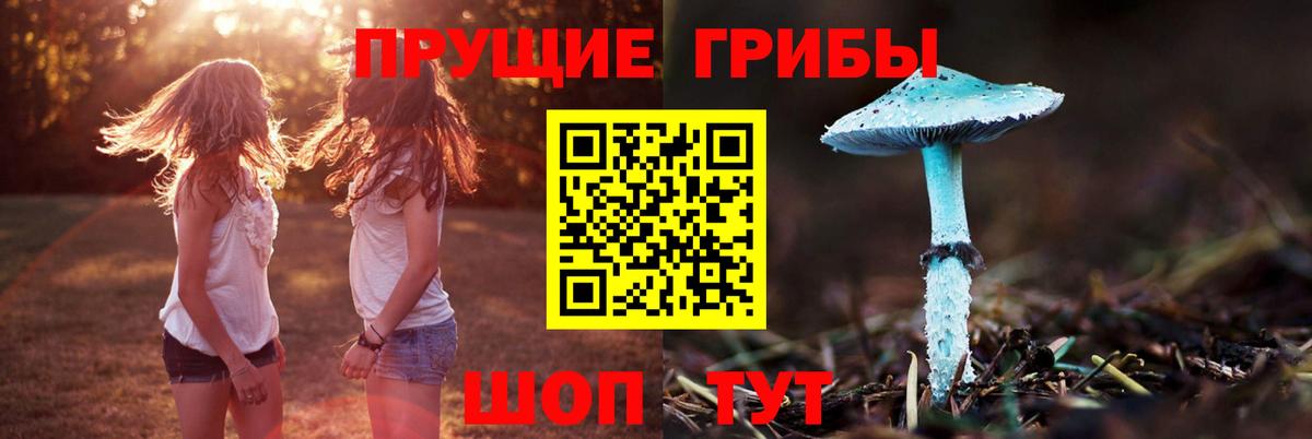 Псилоцибиновые грибы MAGIC MUSHROOMS Нижнекамск